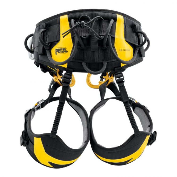 baudrier petzl decathlon